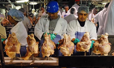 Poultry workers on a production line. (Photo courtesy to Oxfam)	