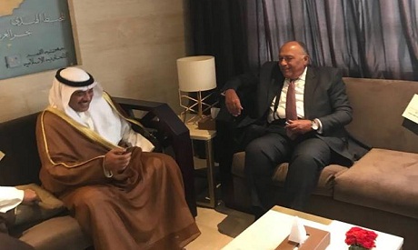 Shoukry meets Saudi counterpart