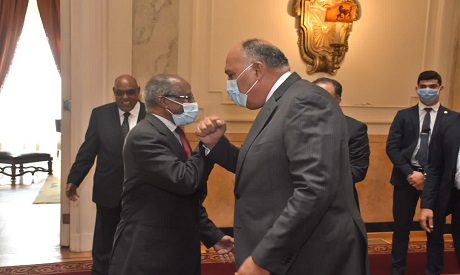 Egyptian and Eritrean FMs