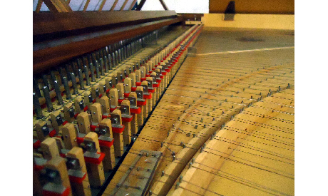 Harpsichord detail