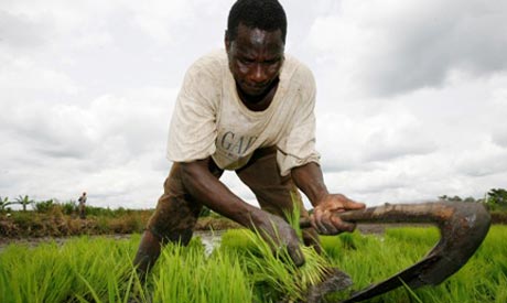 South Sudan agriculture