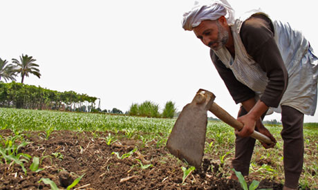 Egyptian farmer