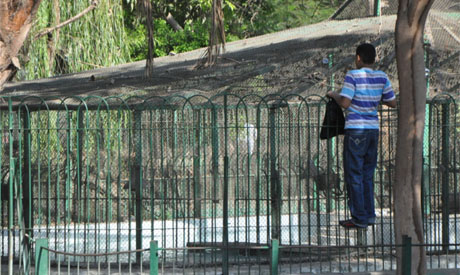 A kid climbing one of the cages at the Giza zoo (Photo: Al-Ahram)