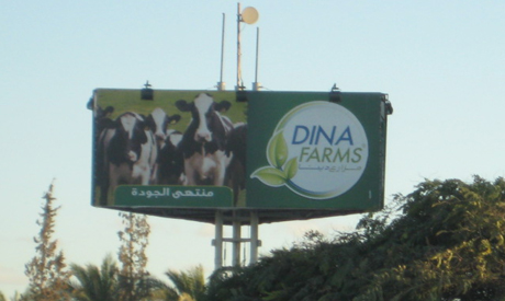 Dina Farms