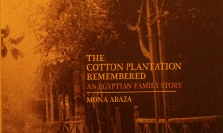Cotton Plantation 