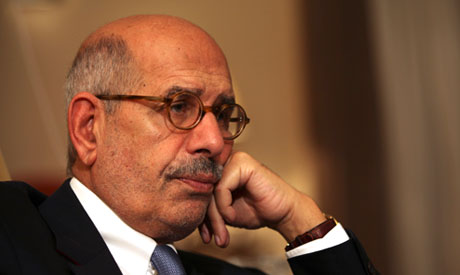 Opposition figure Mohamed ElBaradei