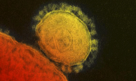 MERS virus( Photo: Reuters )
