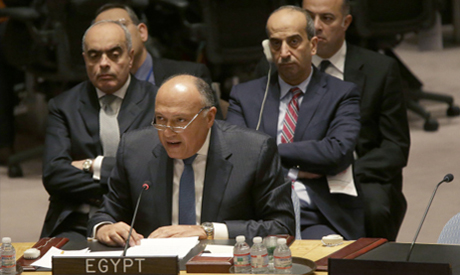 Egyptian Foreing Minister Sameh Shoukry