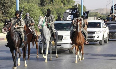 Islamic State militants
