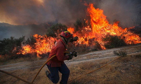 Portugal Wildfire