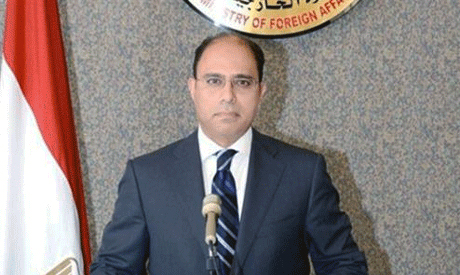 Egyptian foreign ministry spokesman Ahmed Abu Zeid