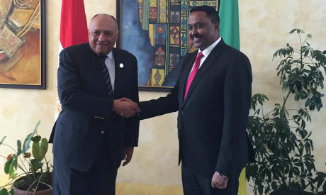 Egyptian FM Sameh Shoukry and his Ethiopian counterpart Workneh Gebeyehu