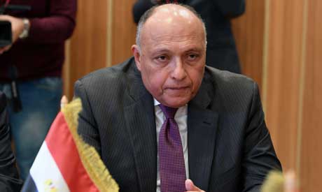 Egyptian Foreign Minister Sameh Shoukry (AFP)