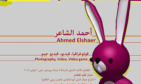 Ahmed Elshaer 