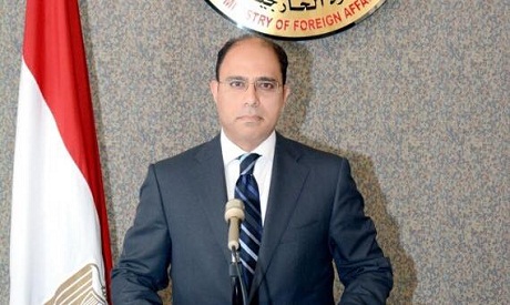 FM spokesman Ahmed Abu Zeid