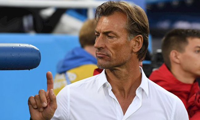 AFCON 2019: 'I'm not Morocco's trump card', says Renard - Punch