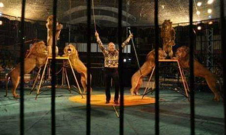Cairo circus