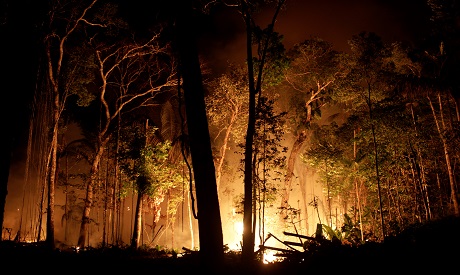 Amazon rain forest fires  