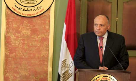 Egyptian Foreign Minister Sameh Shoukry (Reuters)