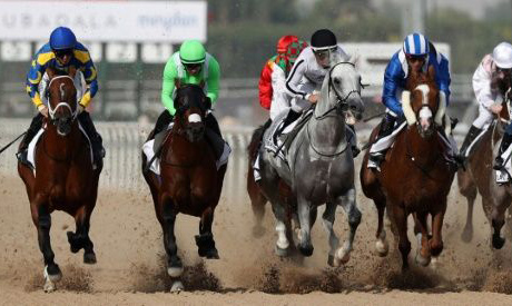 The thoroughbred charge along the Meydan course will be halted this year (AFP)