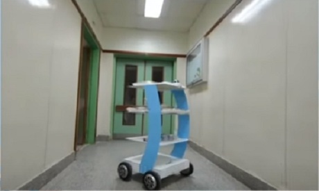 Egyptian-made robot