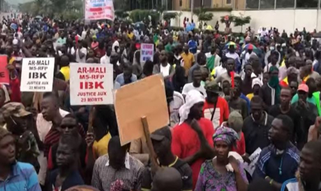 Malian protesters