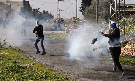 Palestinians Protest