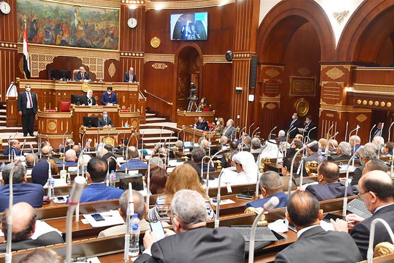 The Egyptian Senate