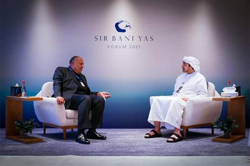 FM Shoukry, Abdullah bin Zayed