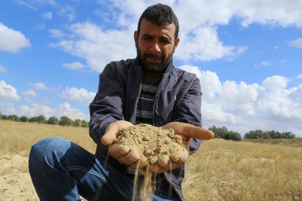 Tunisian farmer