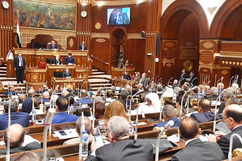 Egypt s Senate