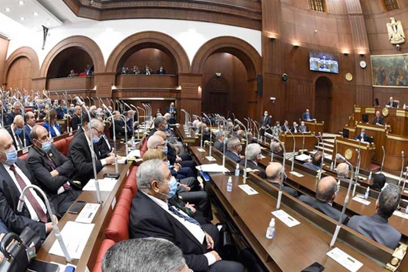 Egypt s senate