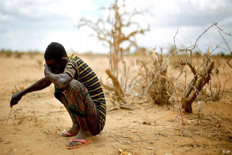 One in four Somalis face acute hunger due to drought: UN