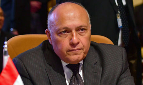 Egyptian Foreign Minister Sameh Shoukry (AFP)	