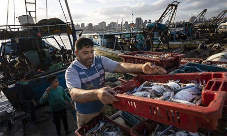 Gaza Fishing