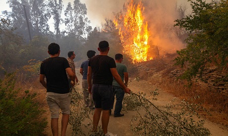 Turkey fires. AFP