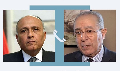 Algerian, Egyptian FMs