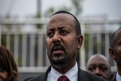 Ethiopia PM open to talks with Tigray forces: Diaspora group