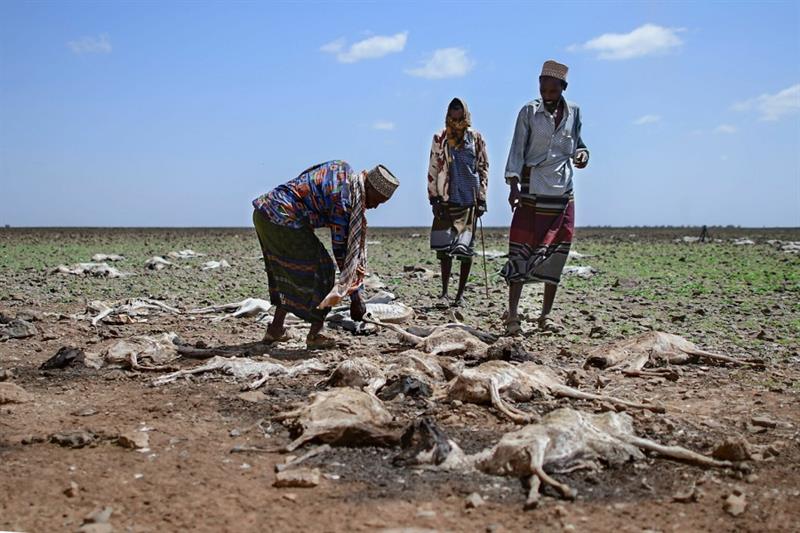 Change in climate in Marsabit county, Kenya
