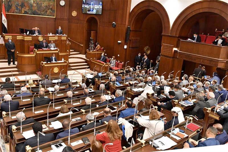 Egypt s Senate