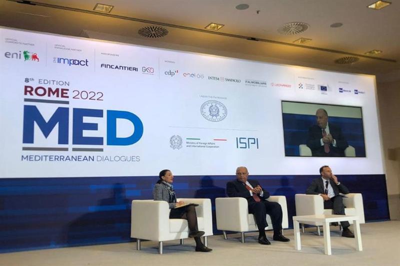 Shoukry sottolinea l’importanza di finanziare la green economy alla Conferenza del Dialogo Mediterraneo – Farnesina – Egitto