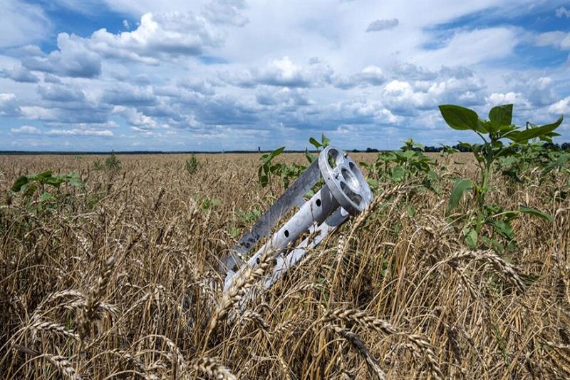 Ukraine estimates grain harvest fell around 40% thumbnail