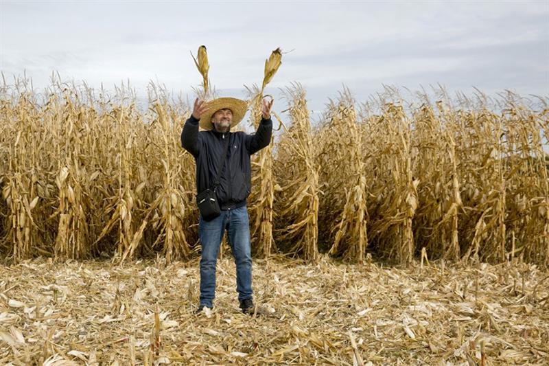Ukraine Corn 