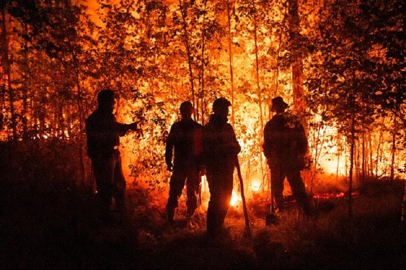 Forest fire in Russia