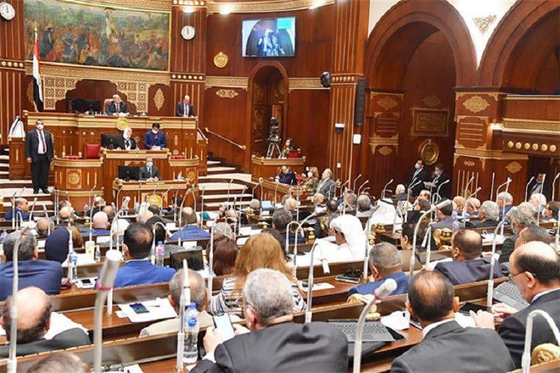 Egypt’s Senate to speak about government-drafted insurance coverage legislation on Sunday – Society – Egypt
