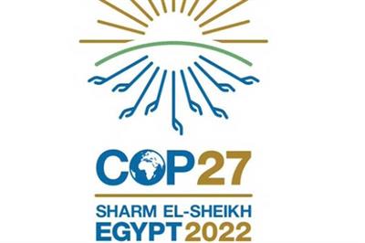  Egypt to launch COP27’s official website within days: PM