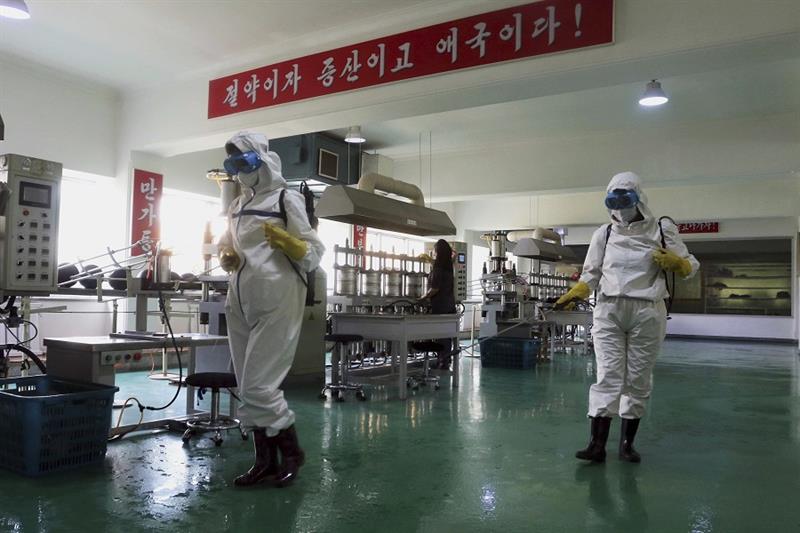  Virus Outbreak North Korea