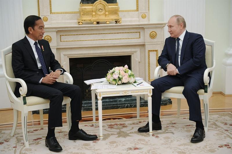 Russian President Vladimir Putin (R) meets with Indonesia s President Joko Widodo 