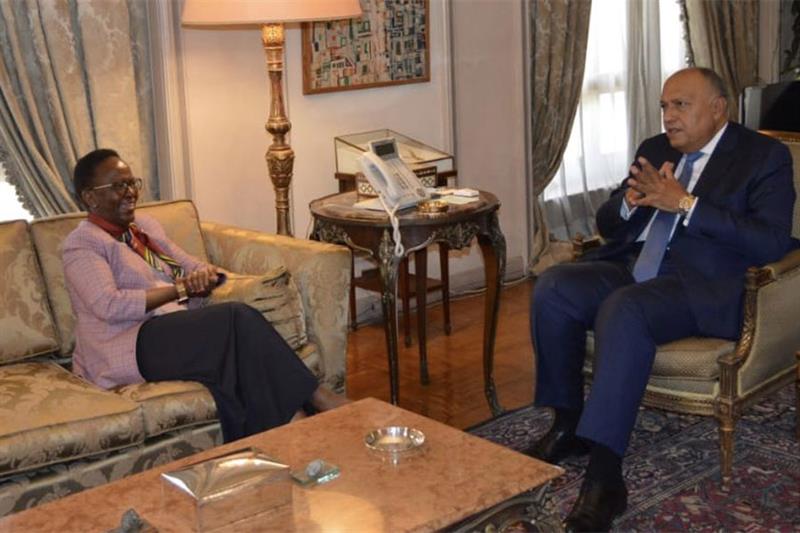 I ministri degli Esteri egiziano e tanzaniano guardano a nuovi orizzonti di cooperazione – Farnesina – Egitto