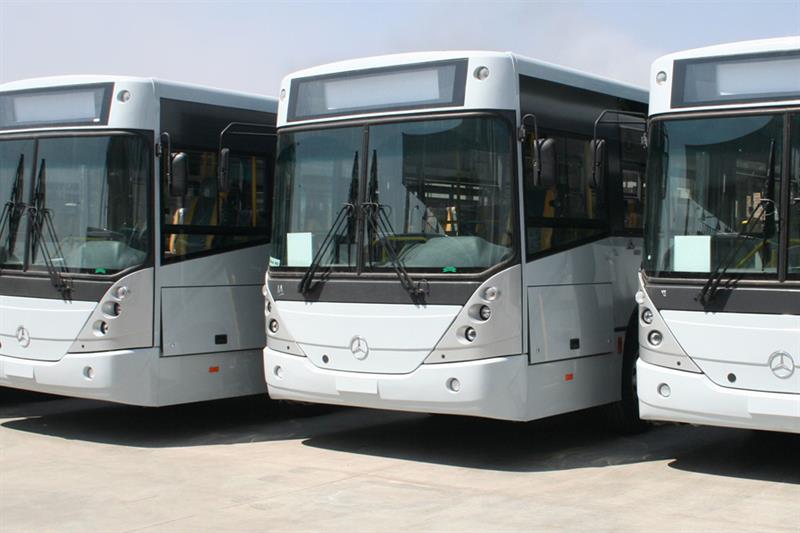  C120 buses 